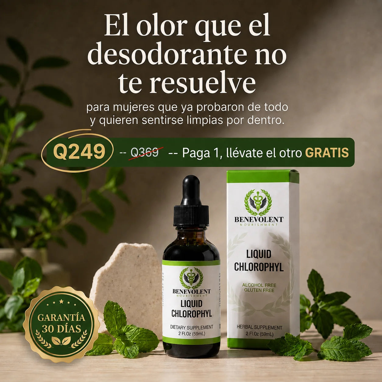 Frescura y ligereza desde adentro 🍀