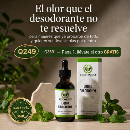 Frescura y ligereza desde adentro 🍀
