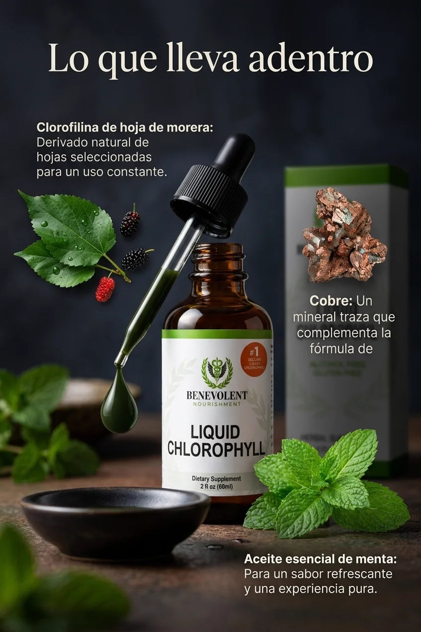 Clorofila Liquida - seccion ingredientes