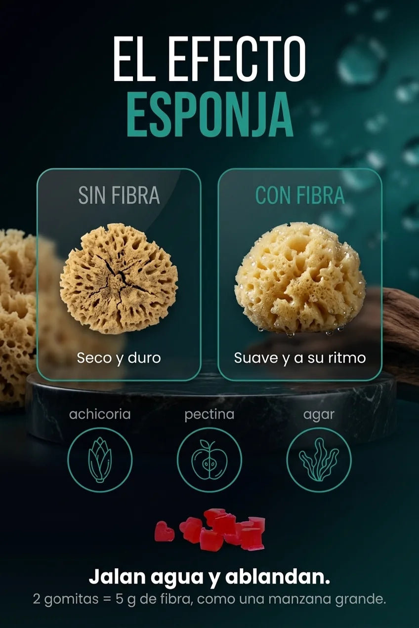 Fiber Gummies - seccion mecanismo